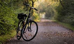 Riding Bike on a Trail in Issaquah WA.